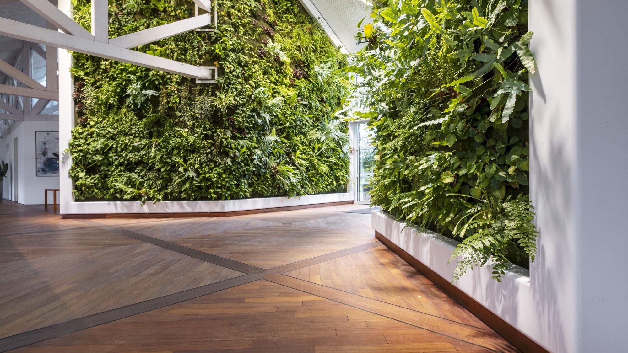 Weitwinkelaufnahme-des-Eingangsbereiches-bei-Depesche-umrahmt-von-lebenden-gruenen-Waenden-und-dem-Corian-Rahmen-und-Holzparkett