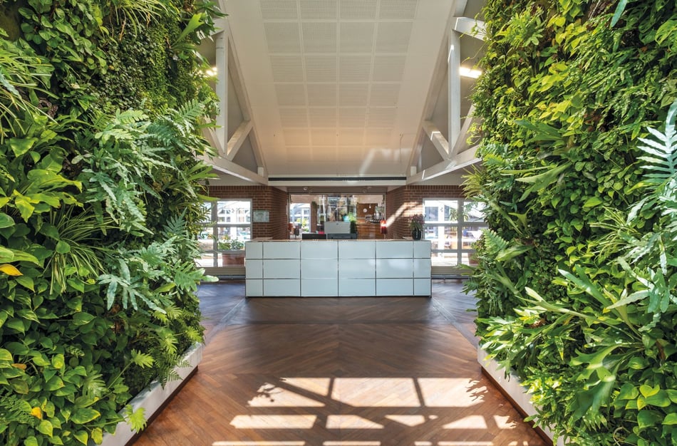 Hasenkopf-Projekte-Empfang-Depesche-Wandverkleidung-aus-Corian-mit-Pflanzen-bestueckt