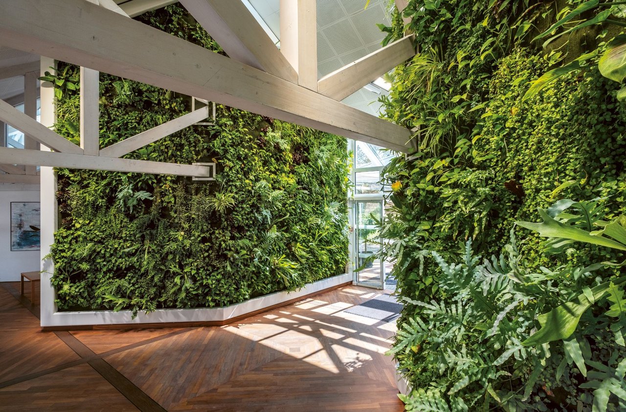 Hasenkopf-Projekte-Entree-Depesche-wandverkleidung-mit-grüner-Bepflanzung