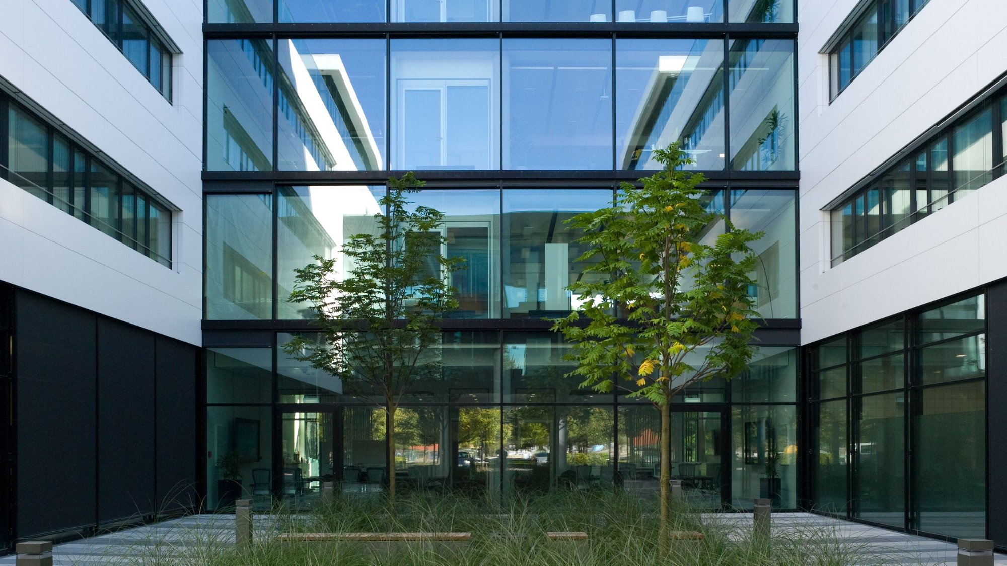 Innenhof-der-Microsoft-Zentrale-mit-Glasfront-und-weissen-Corian-Seitenwaenden-und-Pflanzen Innenhof-der-Microsoft-Zentrale-mit-Glasfront-und-weissen-Corian-Seitenwaenden-und-Pflanzen