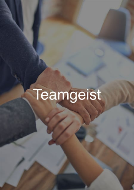 Teamgeist-bei-Hasenkopf-Haende-greifen-Arme-und-machen-ein-Viereck