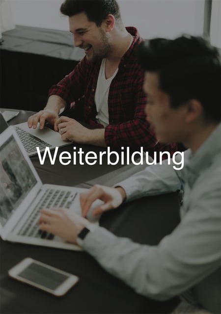 Weiterbildung-bei-Hasenkopf-Gruppe-junger-Menschen-beim-Lernen-an-Laptops