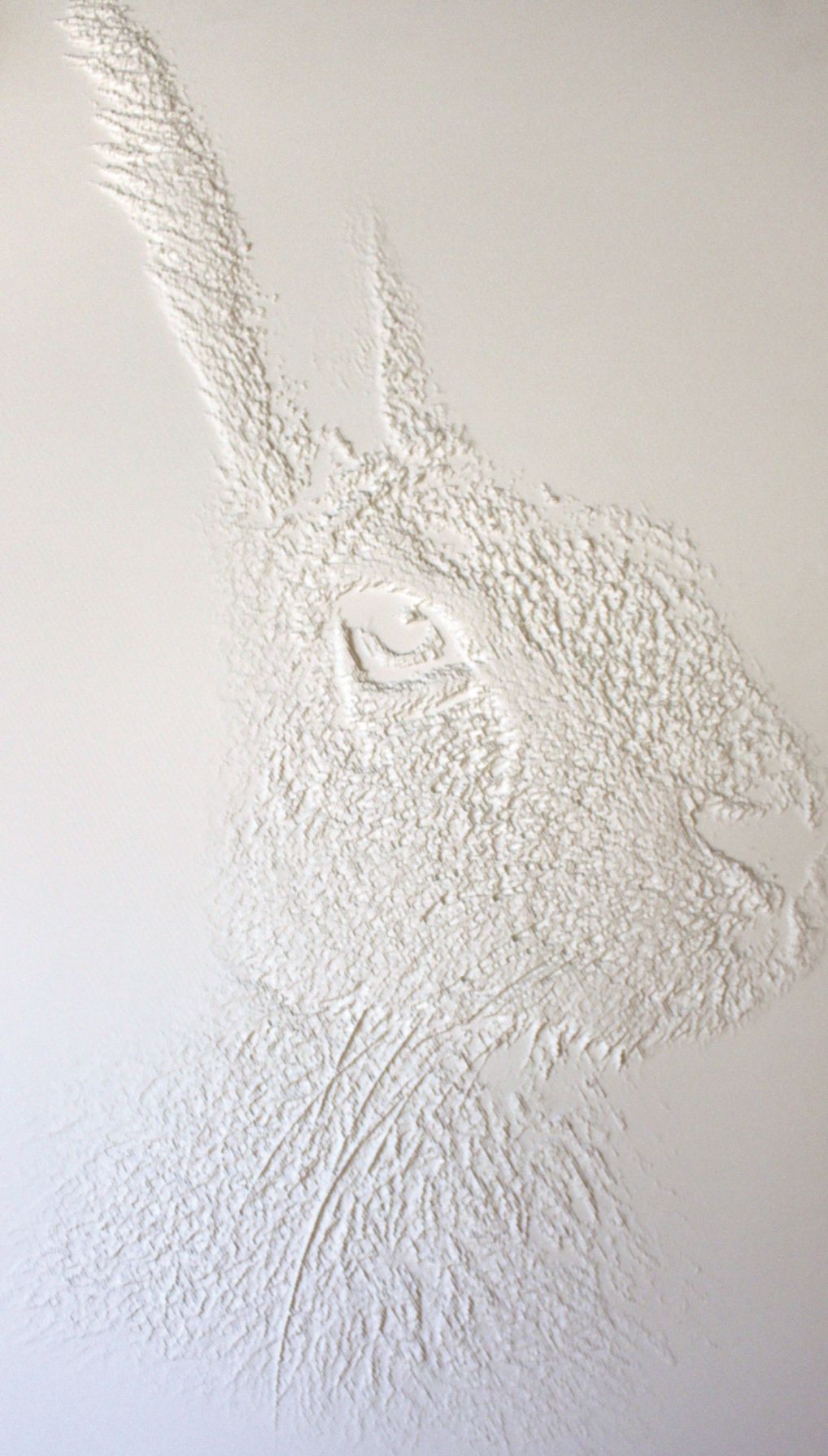 hhk_frescata_hasenkopf hhk_frescata_hasenkopf