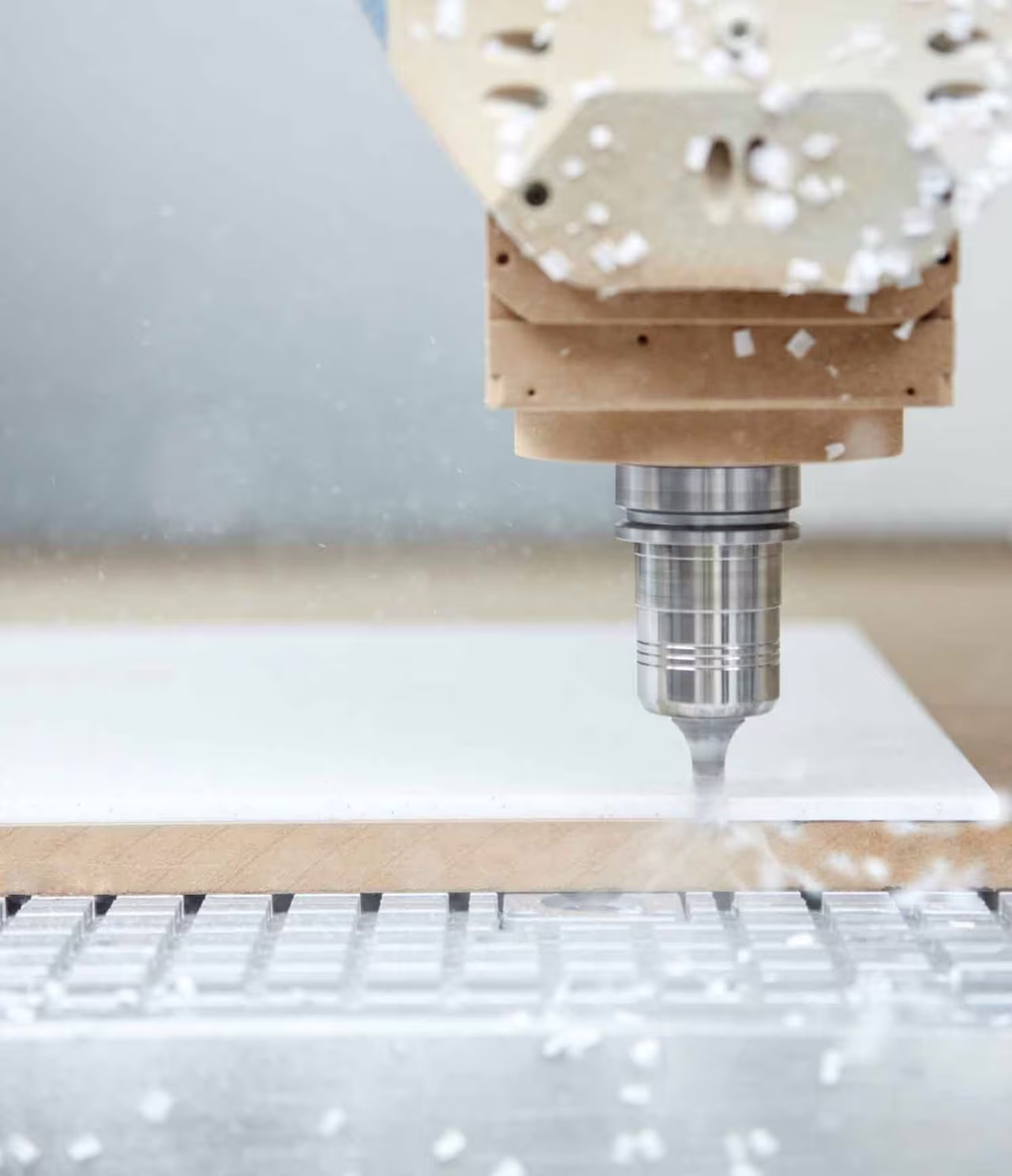 Hasenkopf-Values-Präzision Hasenkopf-Values-Präzision